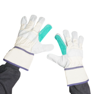 Seafoam Green Canadian Shield