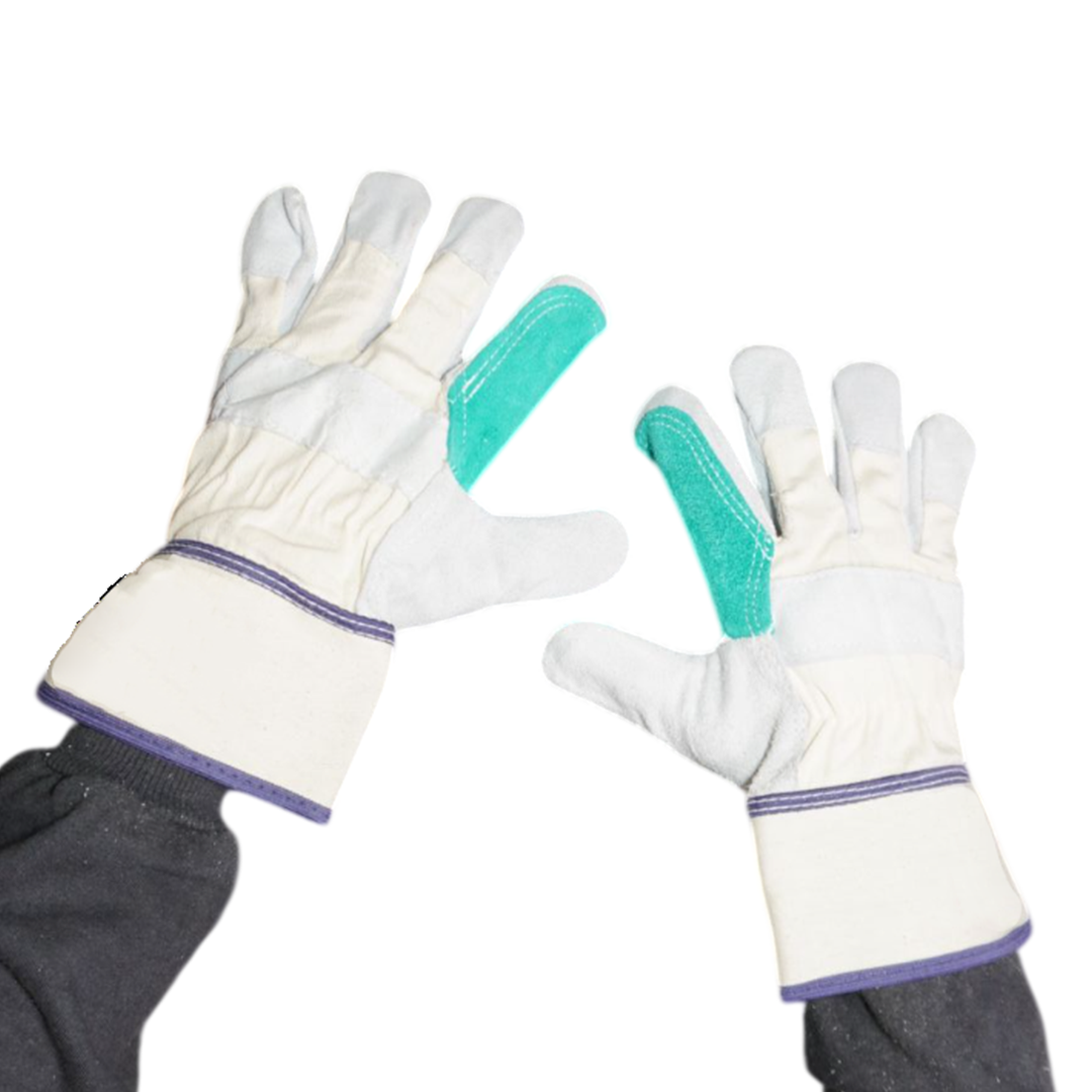 Seafoam Green Canadian Shield