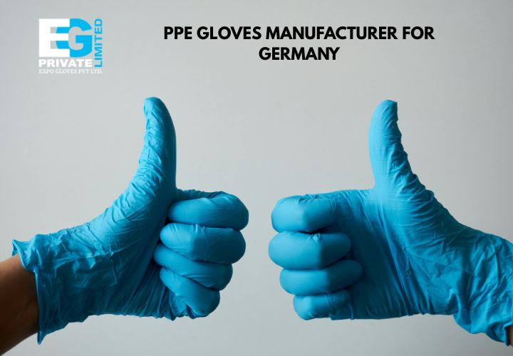 Ordering PPE Gloves in Bulk: Must-Have Features to Look For