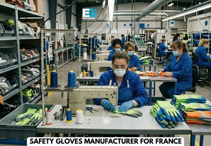 Safety Gloves: How to Choose the Best Industrial Gloves Exporter for Your Bulk Supplies?